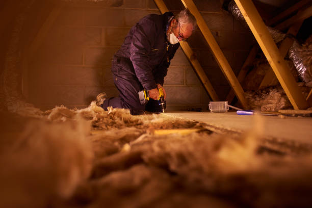 Eco-Friendly or Green Insulation Solutions in Galesburg, MI